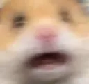 scaredham