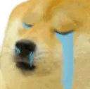 Doge Cry Discord Emoji