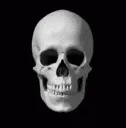 brainreveal