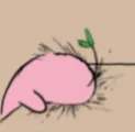 pinguheadbonk