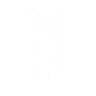 438098033_harmony