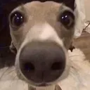 skrunkly