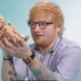 edkitten