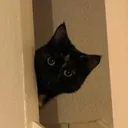CE_Peek CE_Peek