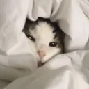 CE_AwakeButAtWhatCost2