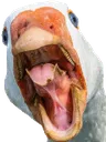 GooseAAAA