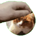 BlackwaterPet