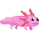 Axolotl Axolotl