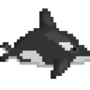 Orca Orca