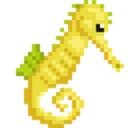 Seahorse Seahorse