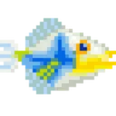 Triggerfish Triggerfish