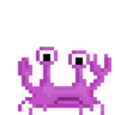 Shorecrab Shorecrab