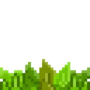 mint mint