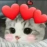 cute