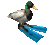 flippaduck