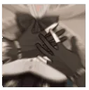 aMumeiHnng