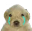BC_tkmsad
