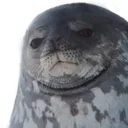sealofdisapproval sealofdisapproval
