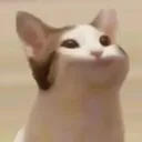Popcat popcat Discord Emoji