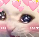 heartcat9