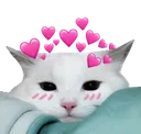 heartsblushcat2