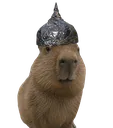 Conspiribara