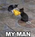 myman