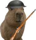 CapysoldiaWWI