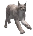 LynxRun