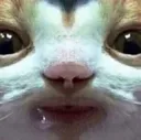 Creature