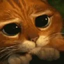 pleaseeyes