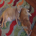 Tuday Discord emoji