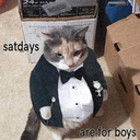 Satday Discord emoji