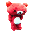 dance_bear