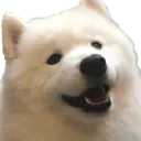 blender_happy Discord Emoji