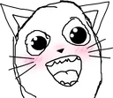derpcat