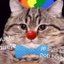 catpotiblagueur