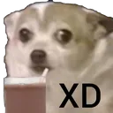 SmolXD SmolXD