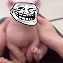 trollgus trollgus