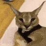 screamfloppa