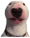 walter