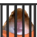 sHamJail
