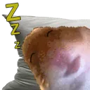 sHamSleep