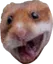 hamHappy