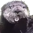 mmrPogU