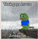 fz_thak_gya_hu