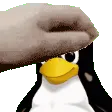 tux_pet