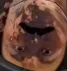 whutface