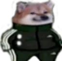 TH_DogeSwag TH_DogeSwag