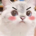 Catangy catangy Discord Emoji